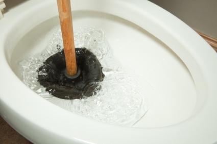Toilet repair by Central Florida Plumbing and Piping LLC